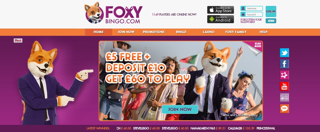 Bingo Bingo